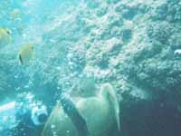 �n�`���y����