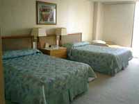 �v���Ă����L������