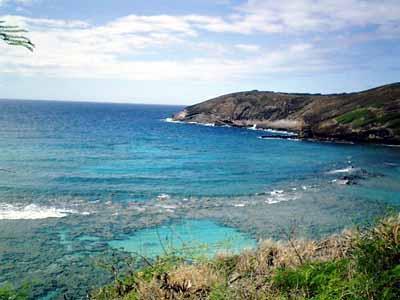 �ォ�猩���n�i�E�}